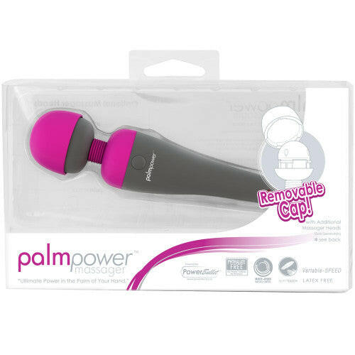 PalmPower Massager