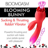 Bloomgasm Blooming Bunny Sucking & Thrusting Rabbit Vibrator