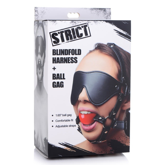 Strict Leather Blindfold Harness and Ball Gag