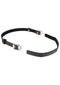 Double Buckle Day Collar