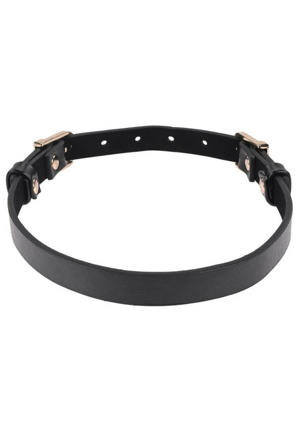 Double Buckle Day Collar