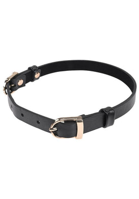 Double Buckle Day Collar