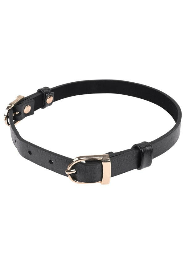 Double Buckle Day Collar